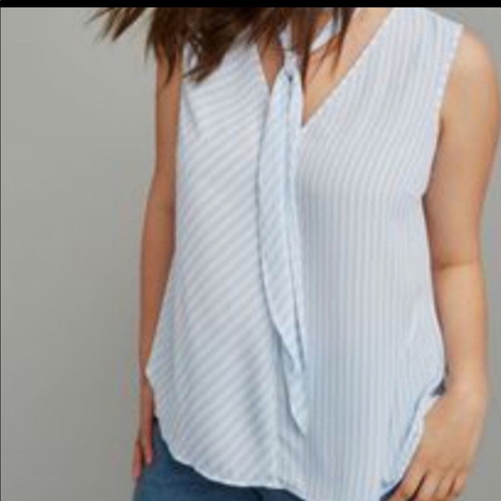 Lane Bryant top